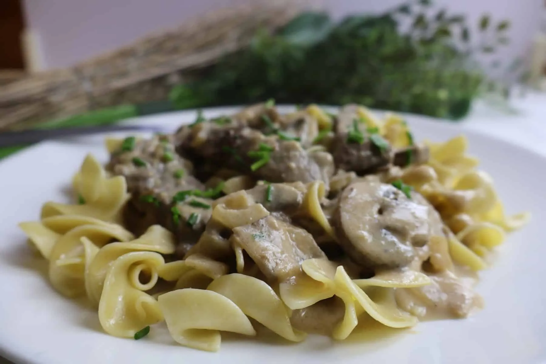 Creamy beef stroganoff with mushrooms and egg noodles garnished with chives on a white plate.