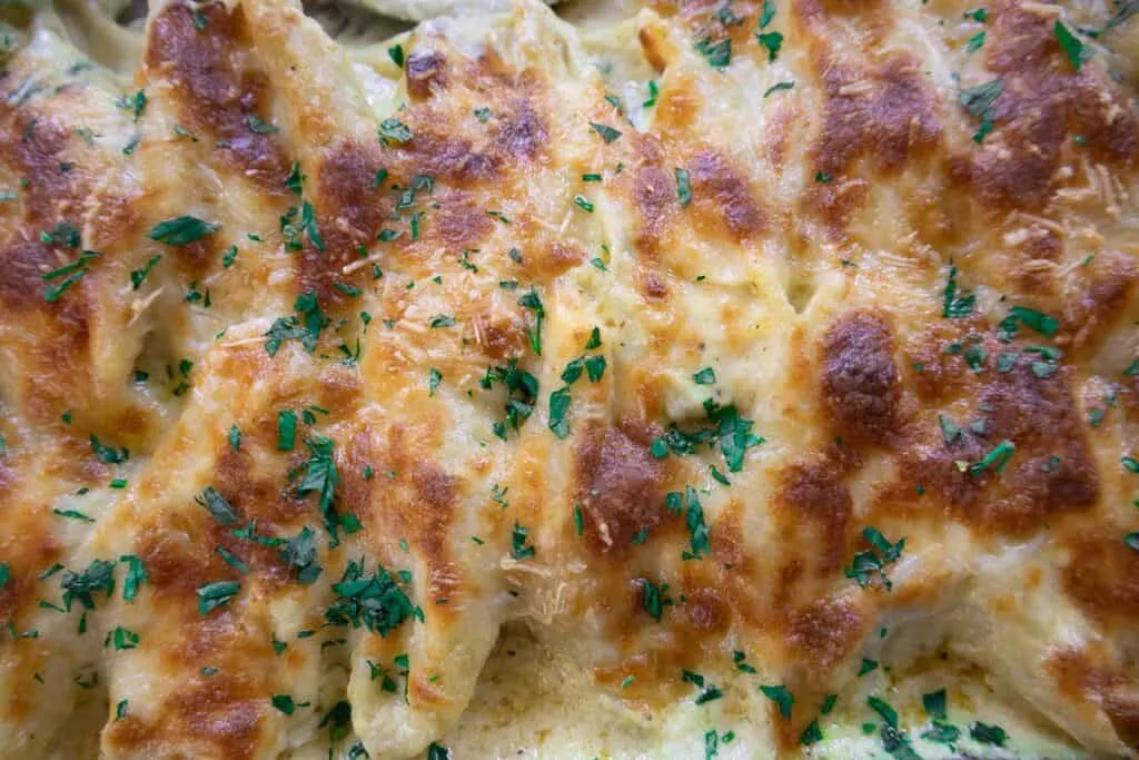 Close-up of golden baked cheesy chicken Alfredo stuffed shells topped with fresh parsley.