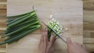 Person chopping green onions on a wooden cutting board in a kitchen setting.