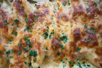 Close-up of golden baked cheesy chicken Alfredo stuffed shells topped with fresh parsley.