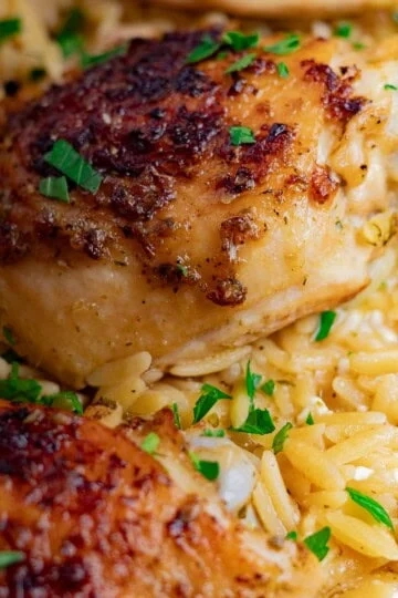 Close-up of Greek Chicken Orzo Bake on creamy orzo pasta with fresh parsley.