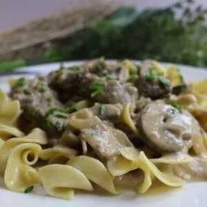 Creamy beef stroganoff with mushrooms and egg noodles garnished with chives on a white plate.